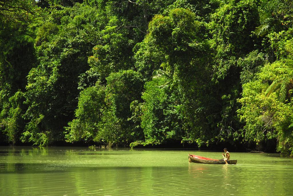 Playa Nicuesa Rainforest Eco Sanctuary Golfito Exterior photo